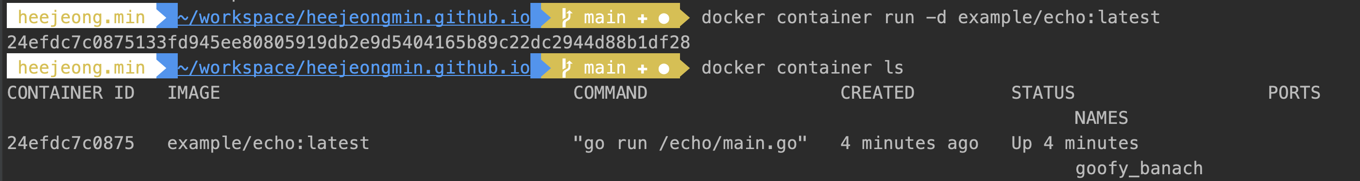 docker_container_run_background.png
